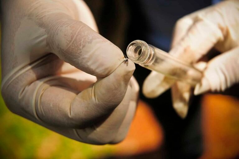 Óbito por dengue é confirmado em Santa Vitória, aponta boletim
