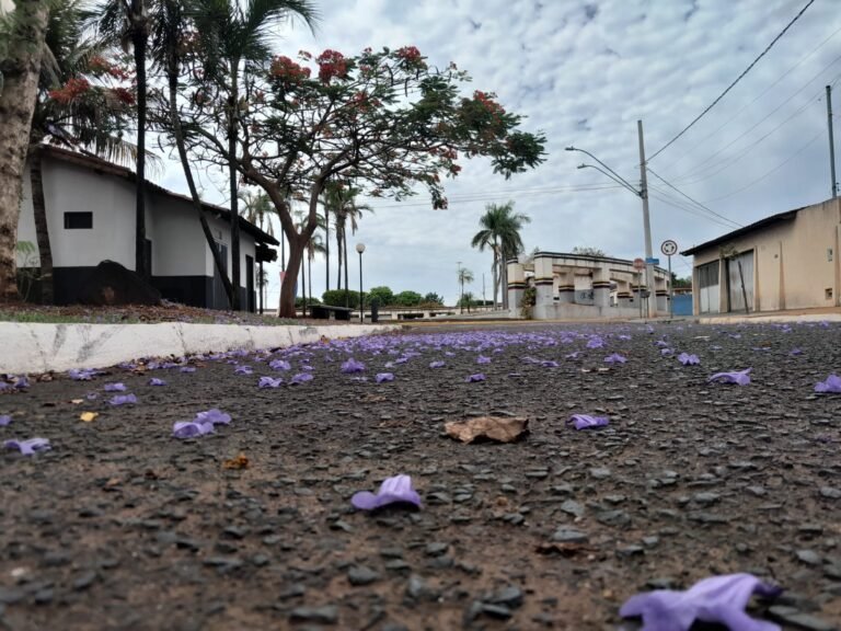 Santa Vitória terá máxima de 31°C nesta sexta-feira, aponta previsão