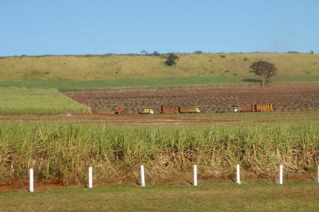 Usina com planta em Ituiutaba paga R$ 15 milhões após acordo com o MPT