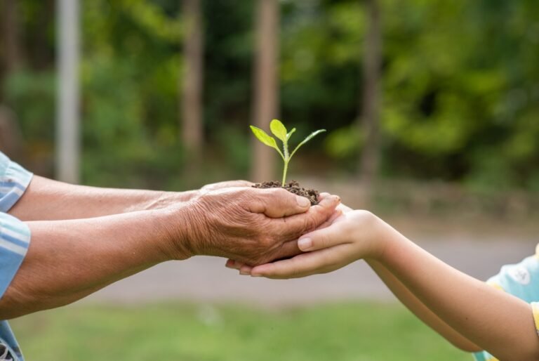 Ação ambiental compensa carbono e apoia projeto ligado a Ituiutaba