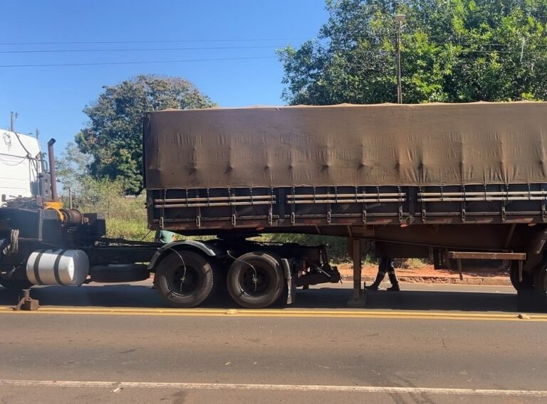 Motorista é flagrado com placa de semirreboque escondida na MGC-154