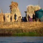 Fome mundial atinge 645 milhões de pessoas, aponta ONU