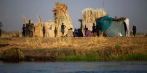 Fome mundial atinge 645 milhões de pessoas, aponta ONU
