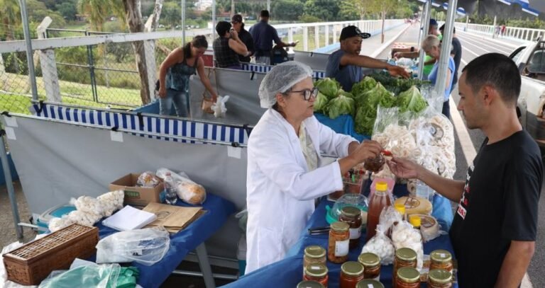 Feira Novo Agro movimenta produtores no Parque do Sabiá