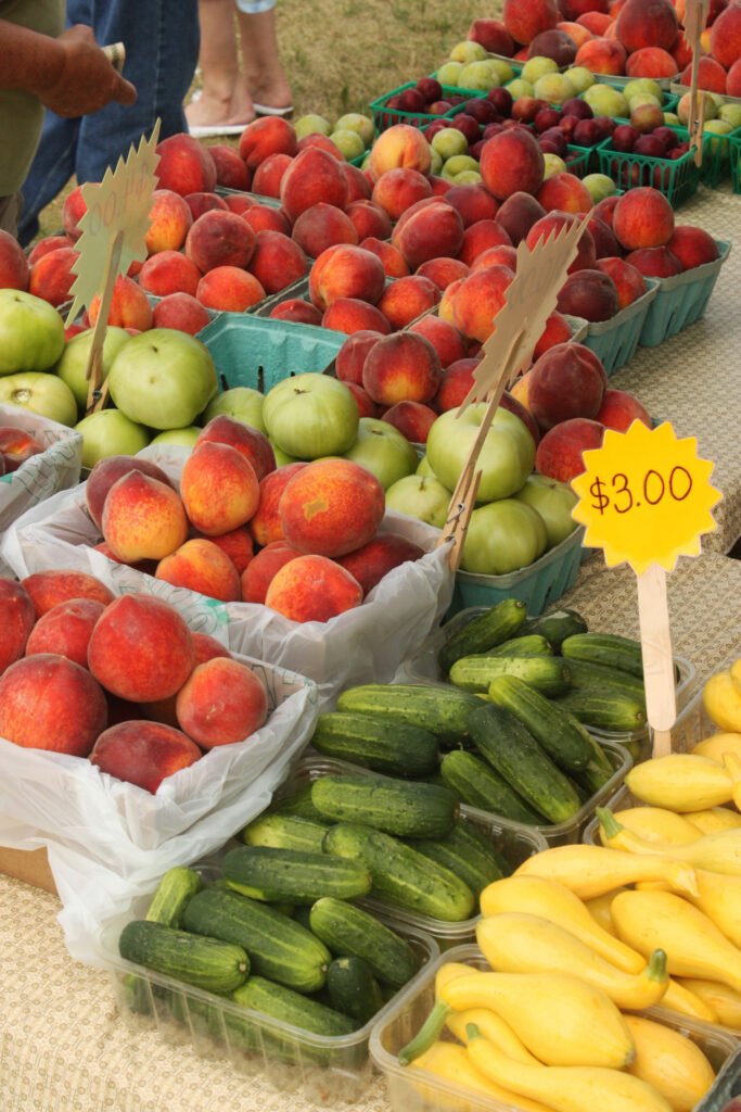 Feira Noturna movimenta produtores e gastronomia em Ituiutaba