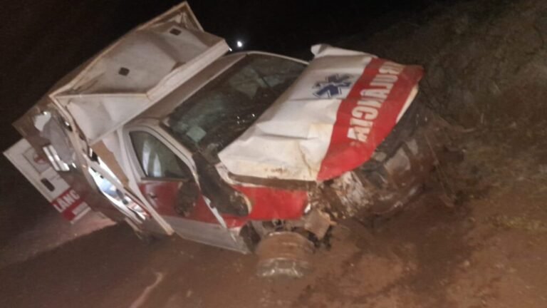 Ambulância de Chaveslândia bate em anta na BR-365