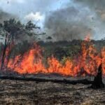 Defesa Civil alerta para calor e risco de incêndios em Uberaba