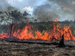 Defesa Civil alerta para calor e risco de incêndios em Uberaba