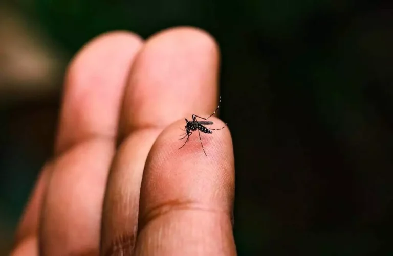 Santa Vitória contabiliza 131 casos confirmados de dengue em 2026