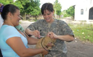 Campanha antirrábica imuniza mais de 84,5 mil animais em Uberlândia