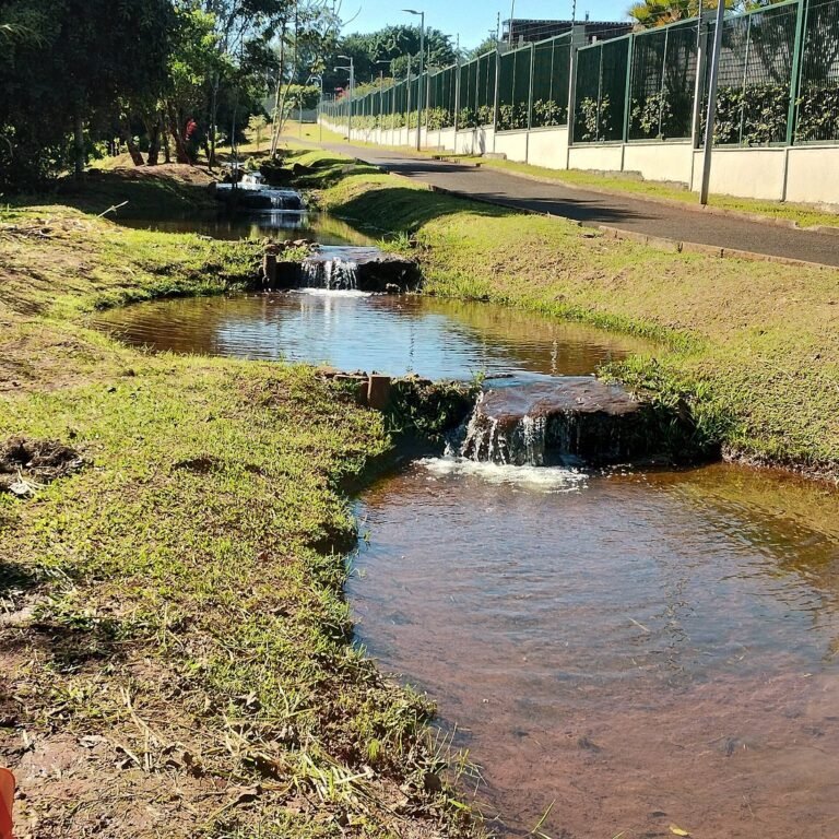Uberlândia terá ação de limpeza no Córrego Lagoinha neste sábado
