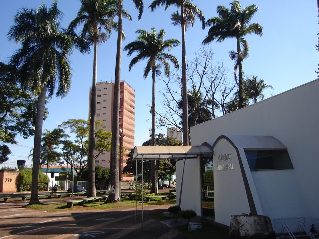 CPI da Cemig inicia trabalhos na Câmara Municipal de Ituiutaba