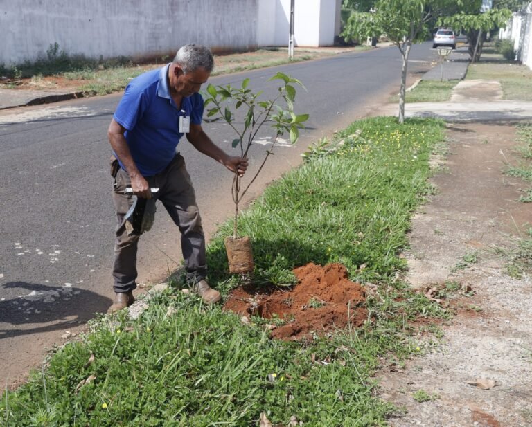 Uberlândia inicia plantio de mudas solicitado pelo Clique Árvore