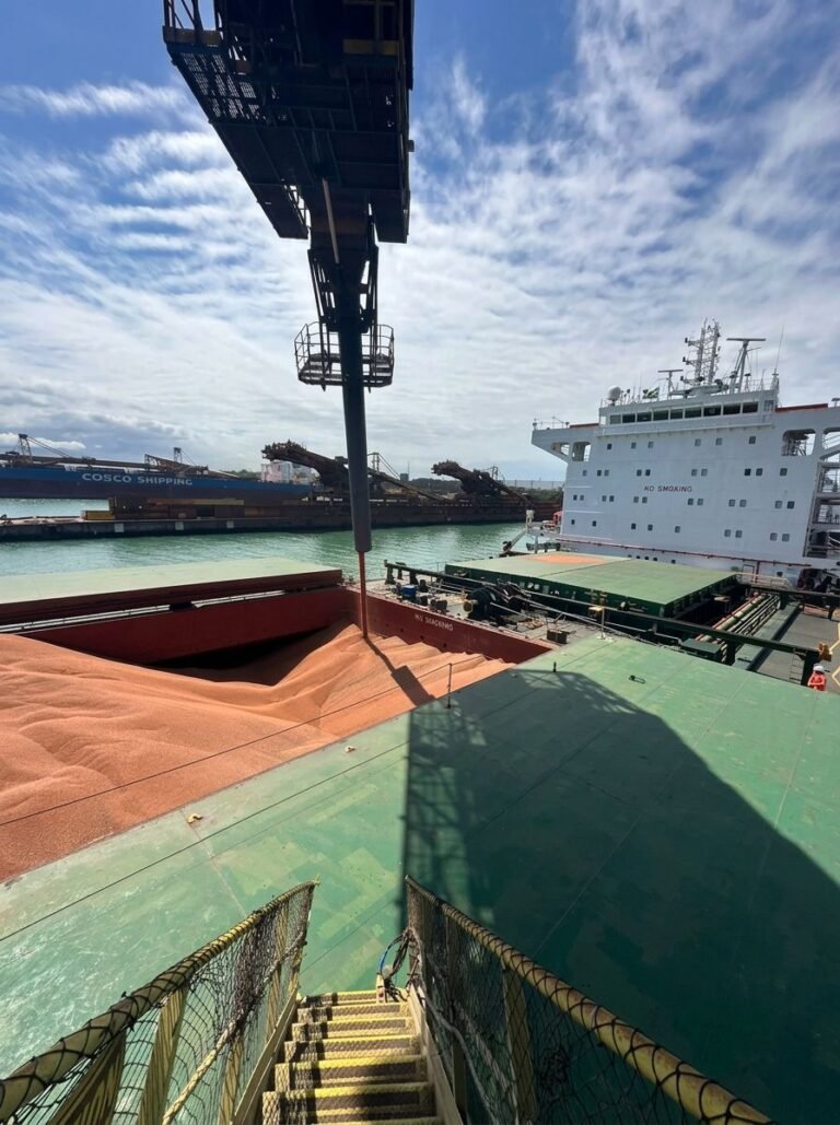 Novas rotas ferroviárias ampliam exportação de sorgo do Triângulo Mineiro