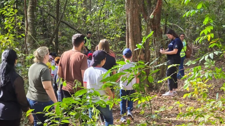 Projeto de educação ambiental da UFU recebe certificação por impacto social