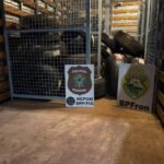 PF e PM apreendem cerca de 150 pneus em depósito clandestino no Paraná